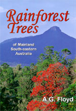 Rainforest trees