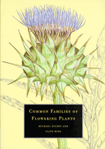 Common families of flowering plants