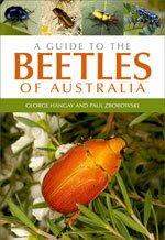 A guide to the beetles of Australia 